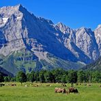 Großer Ahornboden im Karwendel