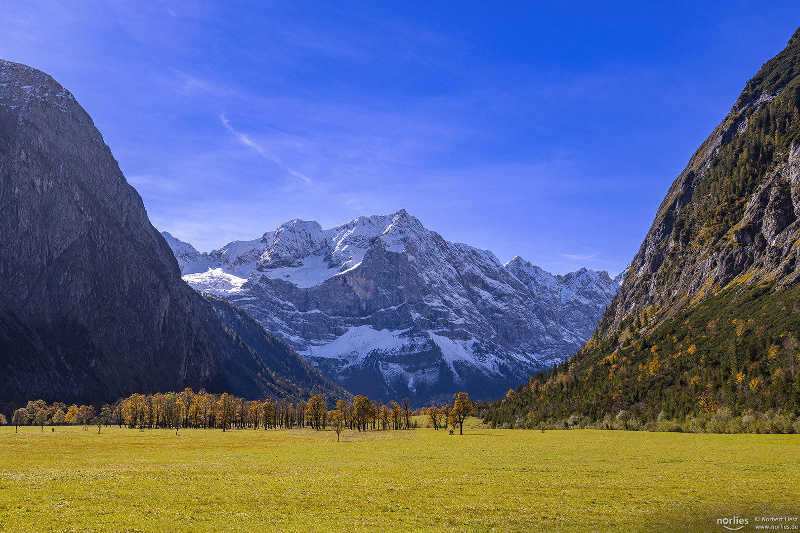 Großer Ahornboden im Licht