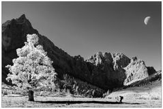 Grosser Ahornboden in Tirol in SW