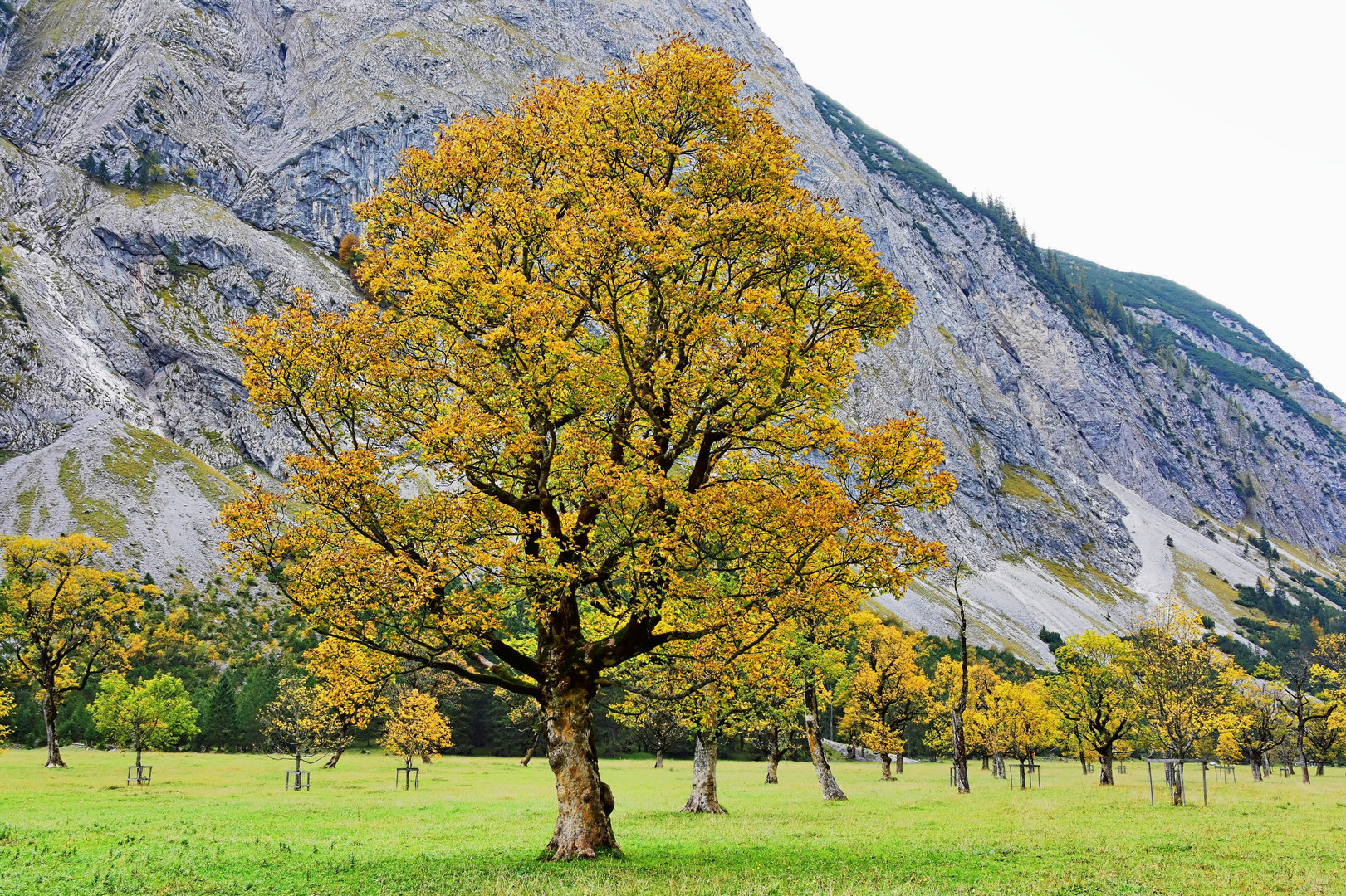 Großer Ahornboden, Karwendel