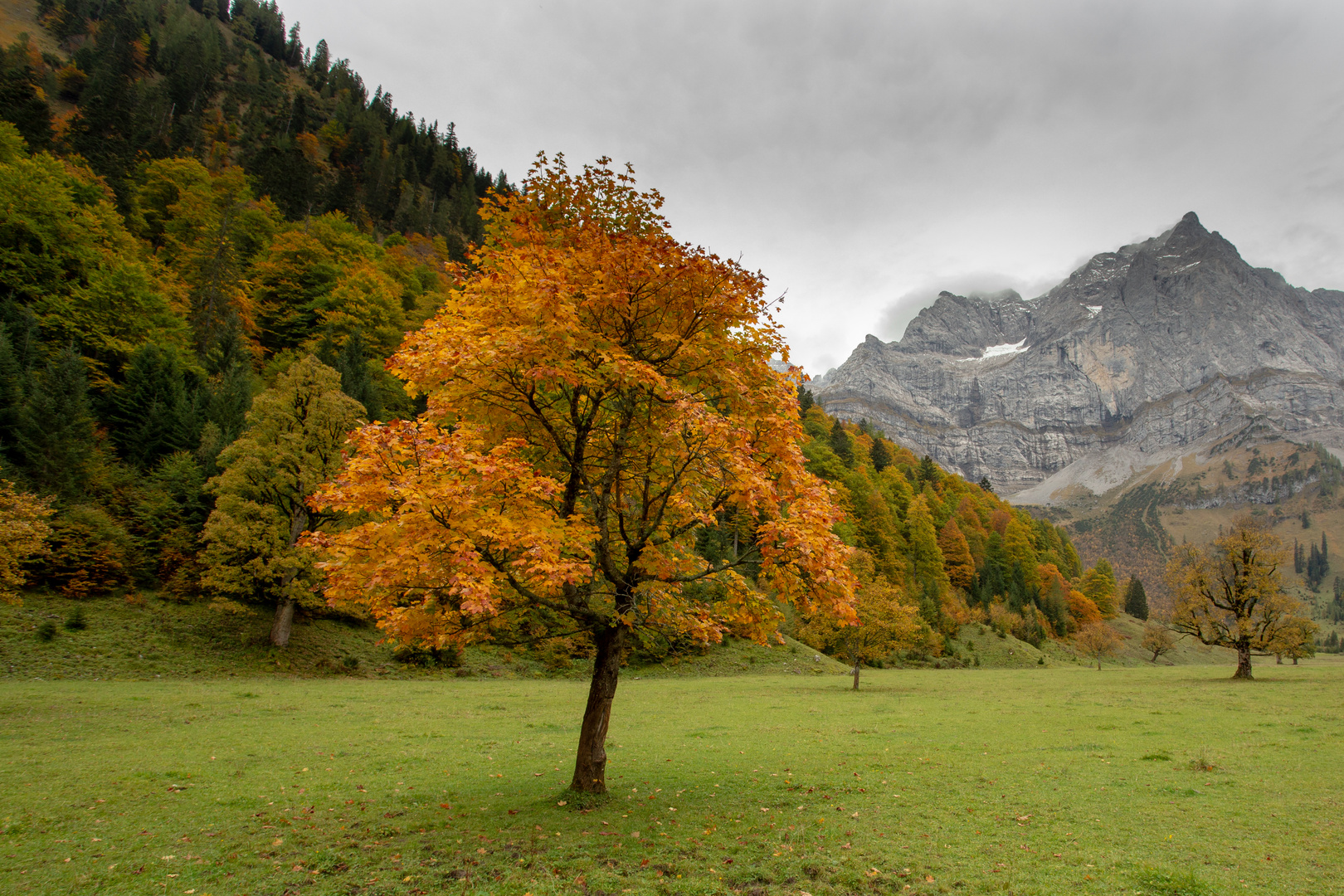 Grosser Ahornboden Karwendel