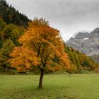 Grosser Ahornboden Karwendel