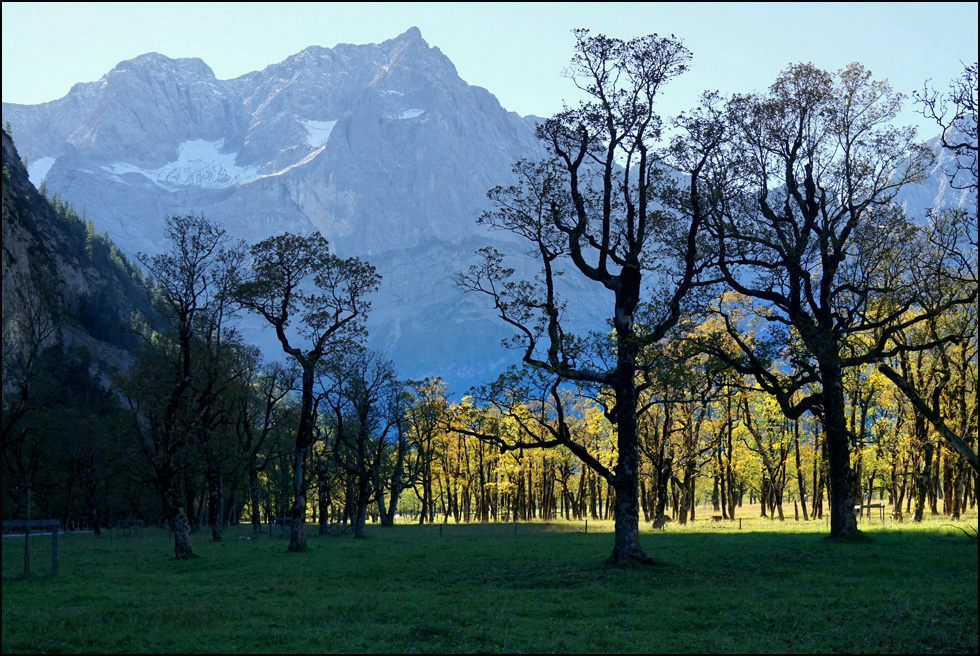 Grosser Ahornboden mit Lamsenspitze