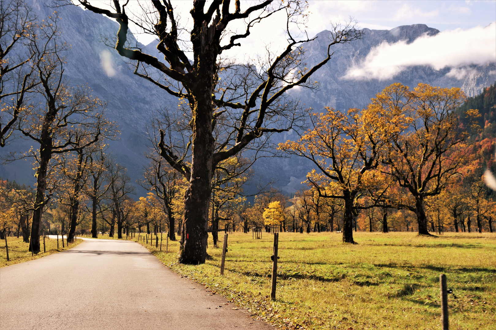 Großer Ahornboden Oberbayern Alemania