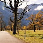 Großer Ahornboden Oberbayern Alemania