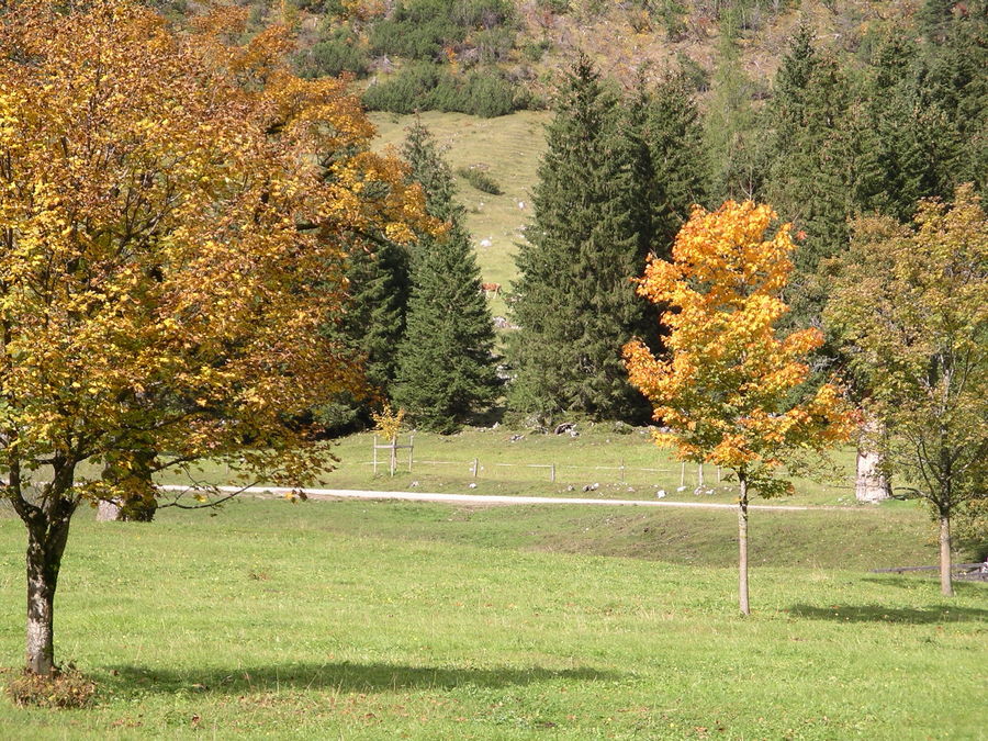 Großer Ahornboden (Tirol)