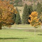 Großer Ahornboden (Tirol)