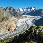 Grosser Aletschgletscher 