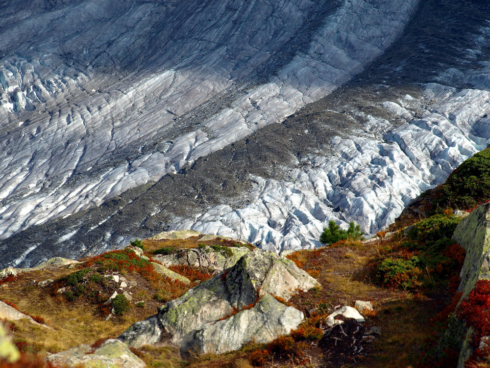 Grosser Aletschgletscher in der Herbstsonne