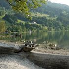 Großer Alpsee...