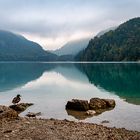 Großer Alpsee am Morgen