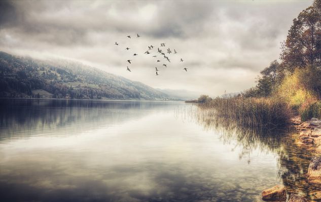 Großer Alpsee in Immenstadt im Allgäu