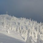 Großer Arber mit Zuckerguss!