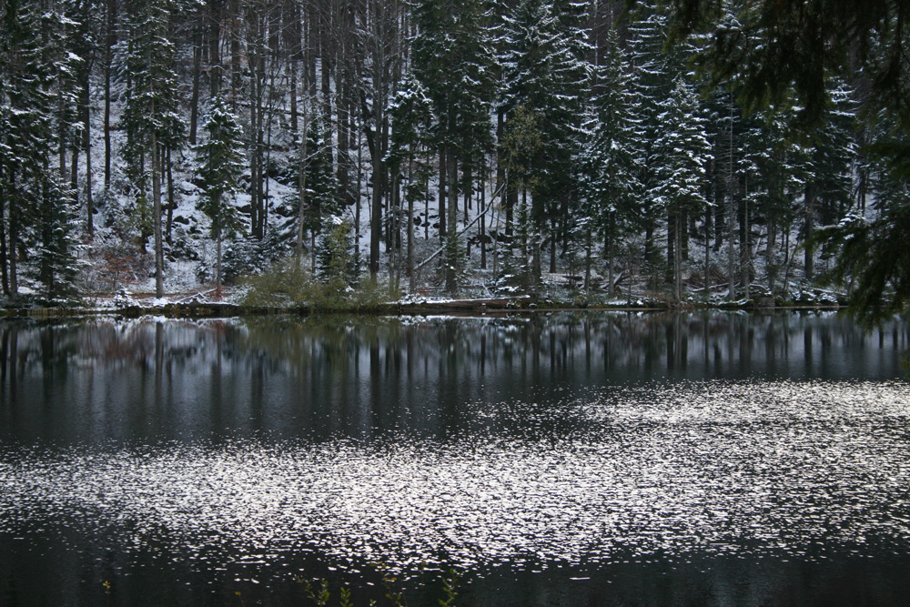 Großer Arbersee