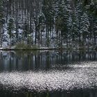 Großer Arbersee