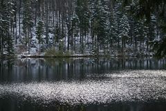 Großer Arbersee