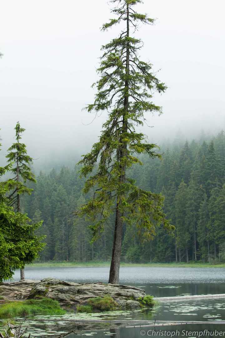 Großer Arbersee 3