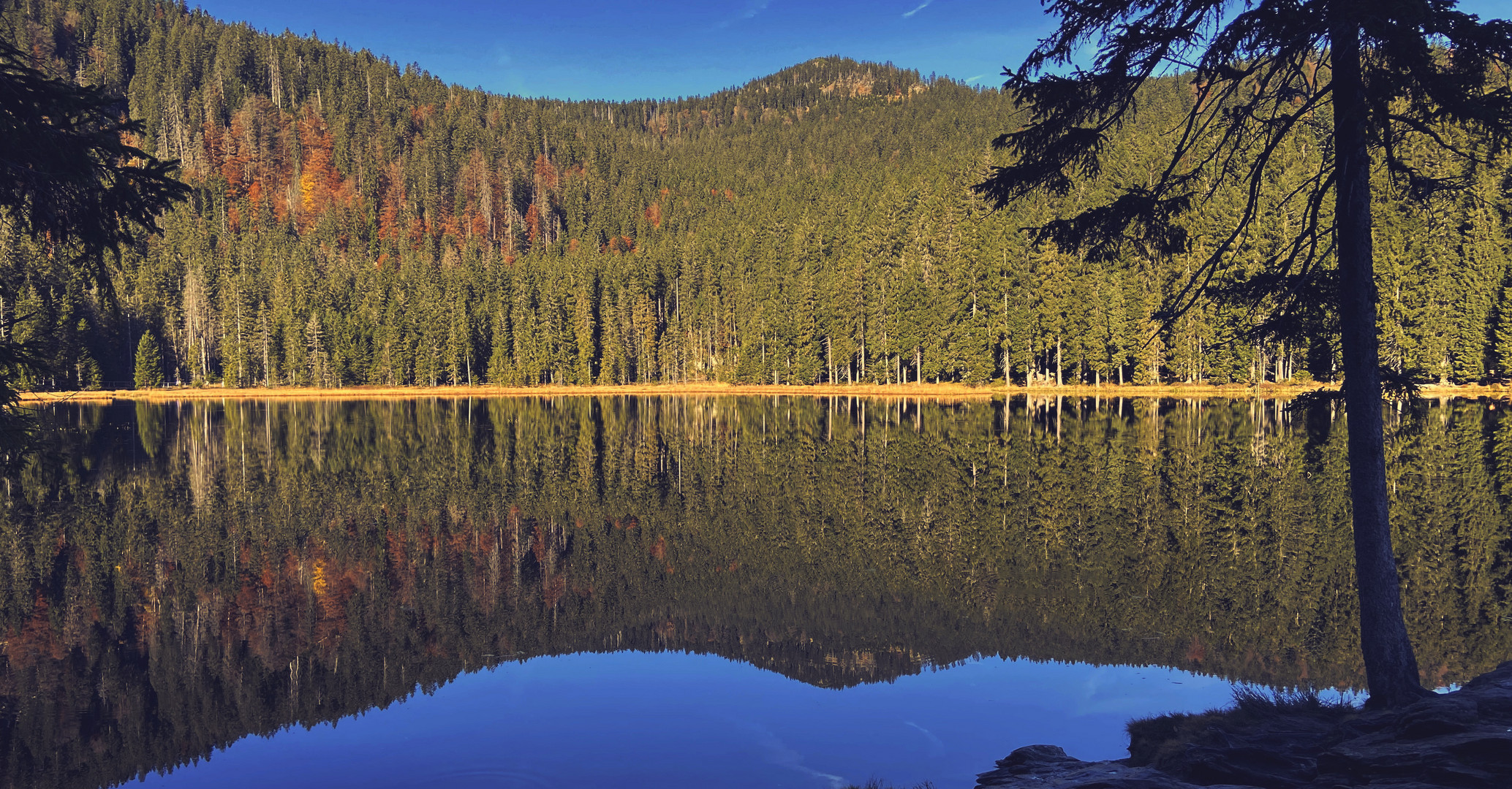 Großer Arbersee