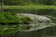 Großer Arbersee 4