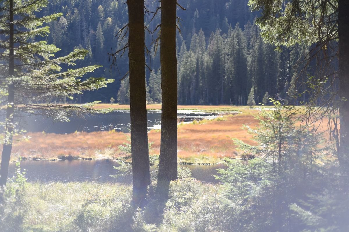 Großer Arbersee