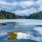 Großer Arbersee