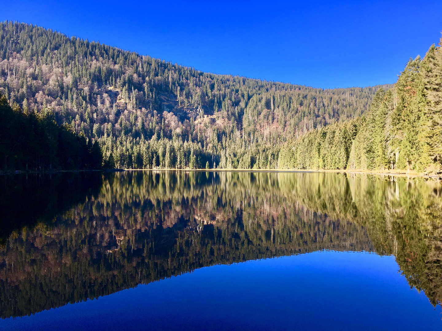 Grosser Arbersee