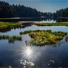 Großer Arbersee