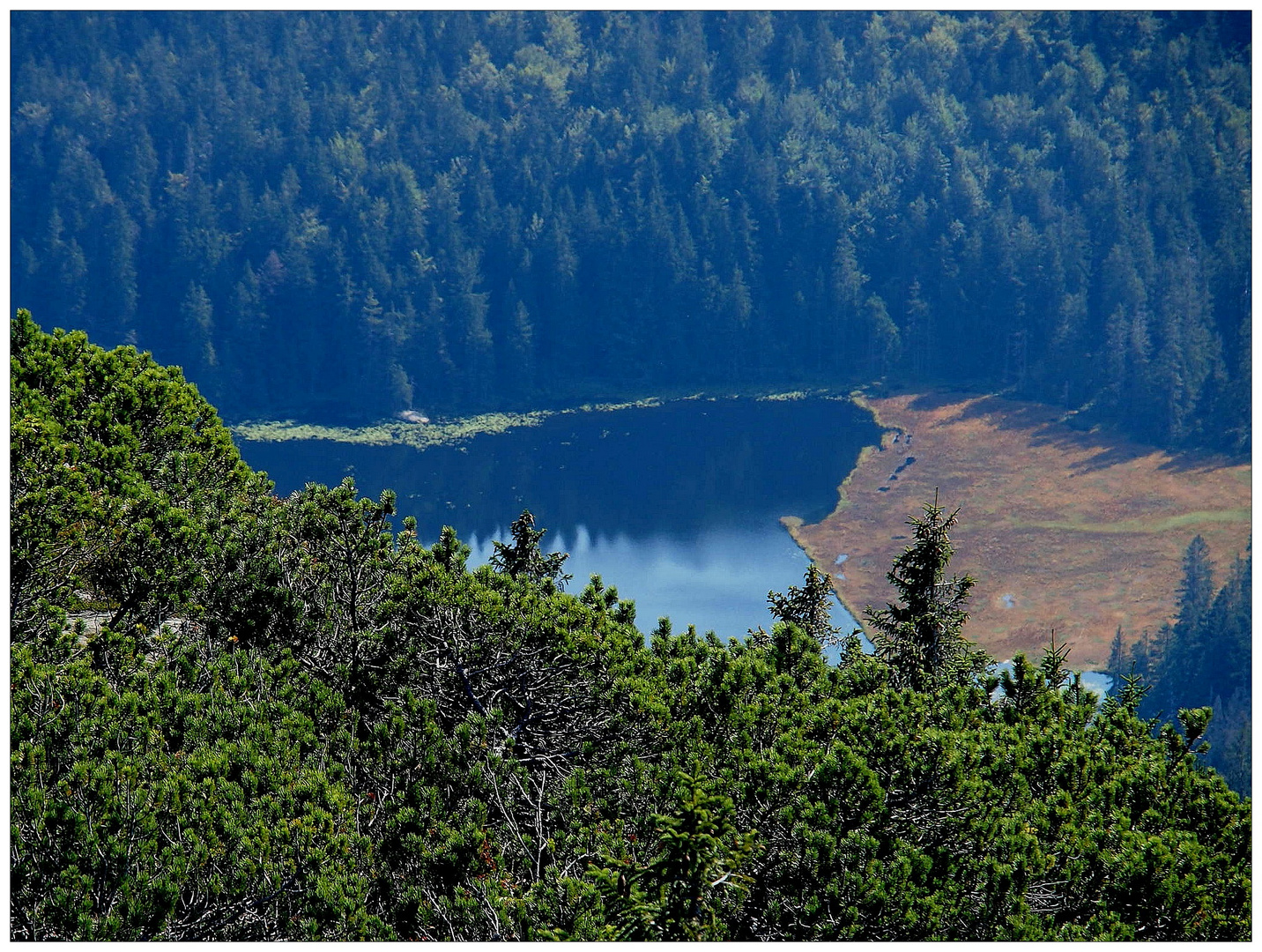 Großer Arbersee