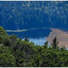 Großer Arbersee