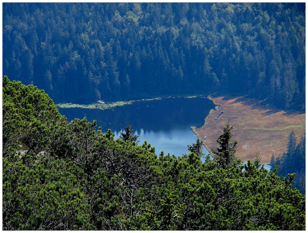 Großer Arbersee