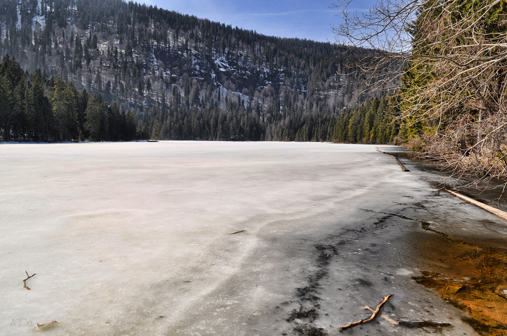 Großer Arbersee