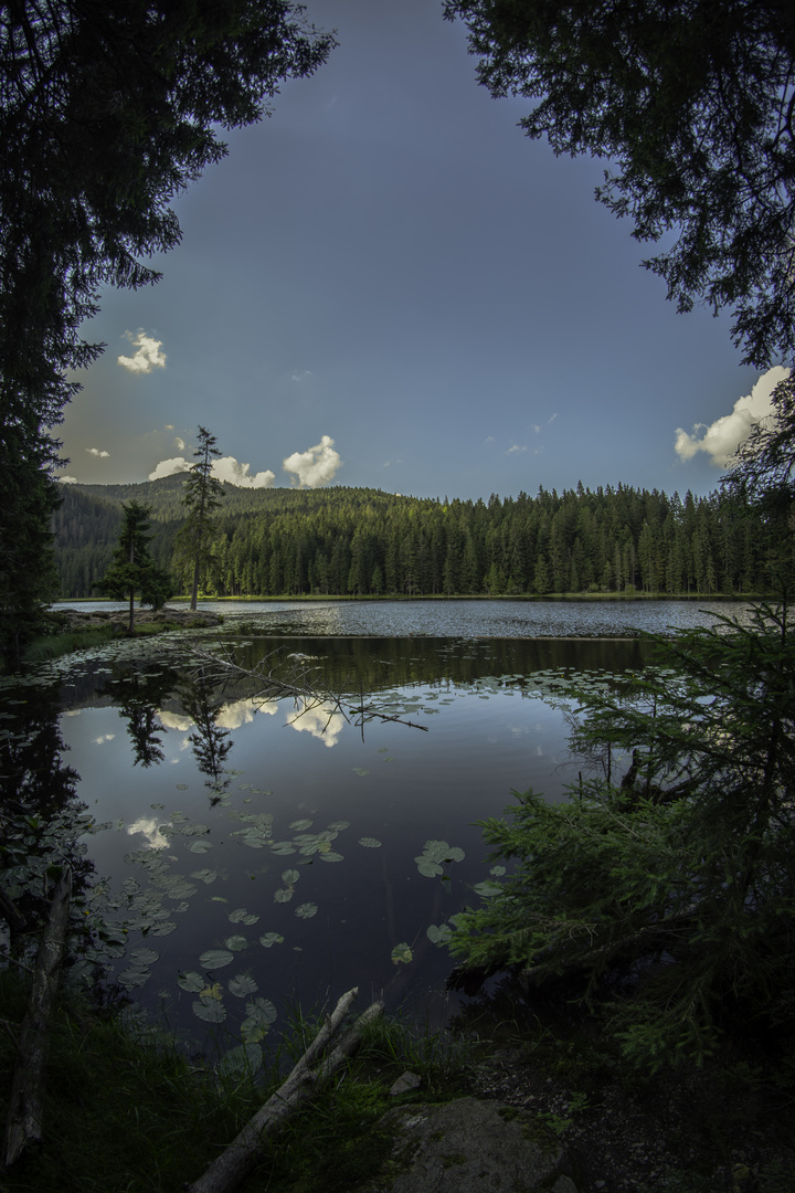 Großer Arbersee