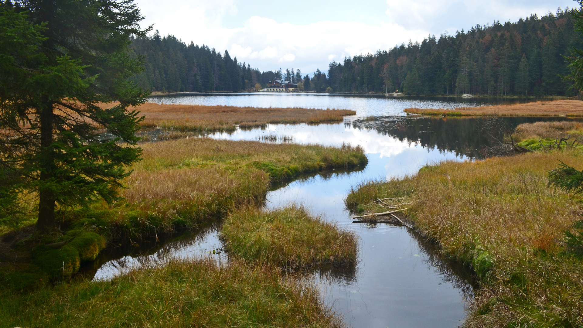 Großer Arbersee / Bayerischer Wald