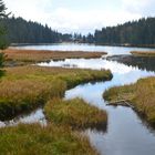 Großer Arbersee / Bayerischer Wald