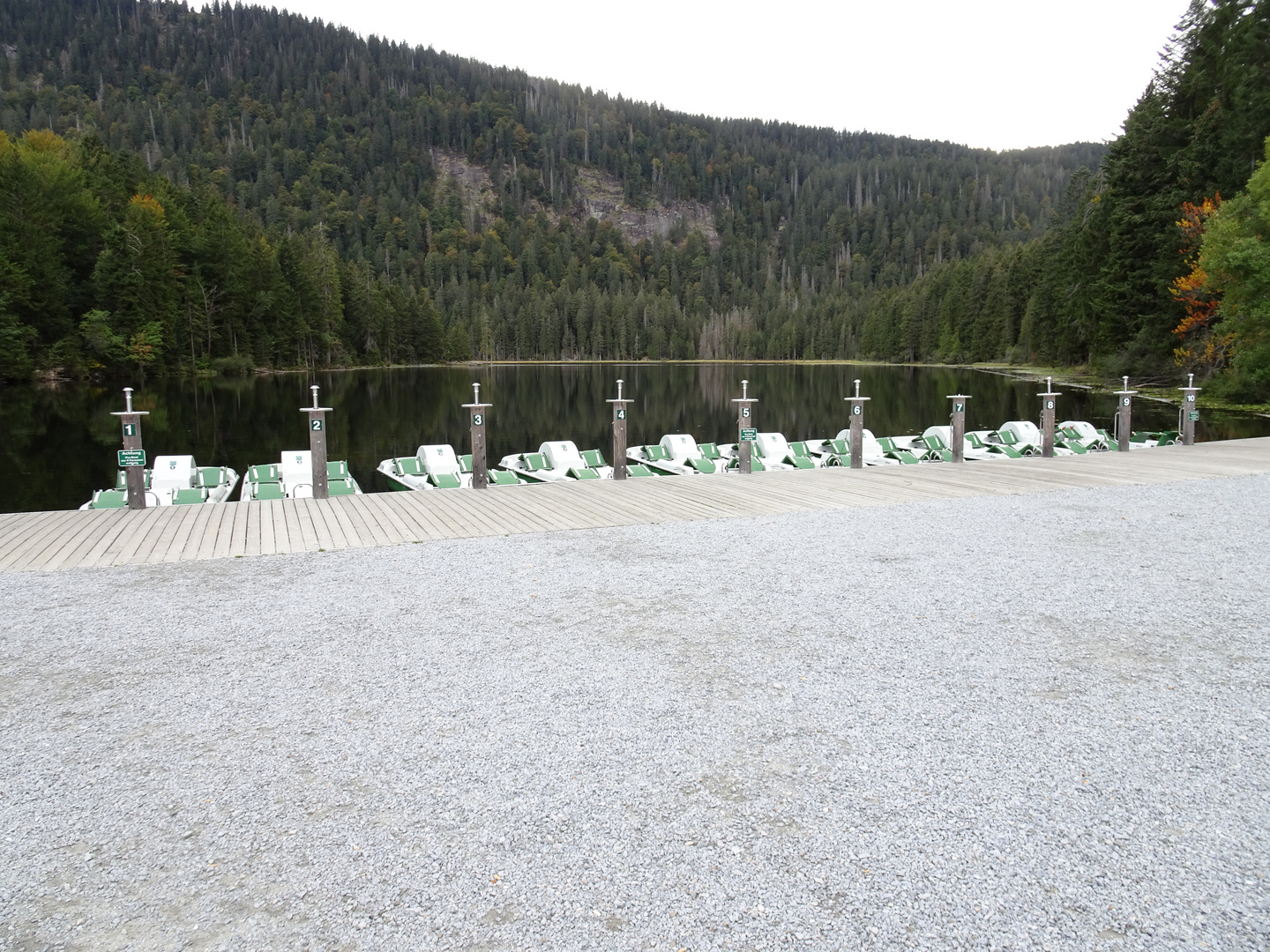 Großer Arbersee - Bayerischer Wald II