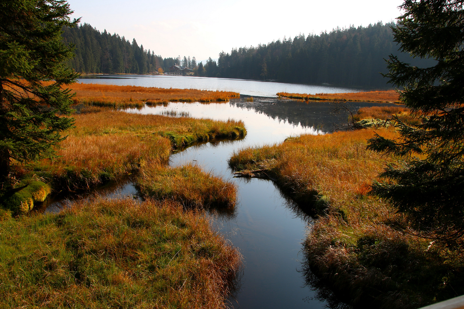 Großer Arbersee