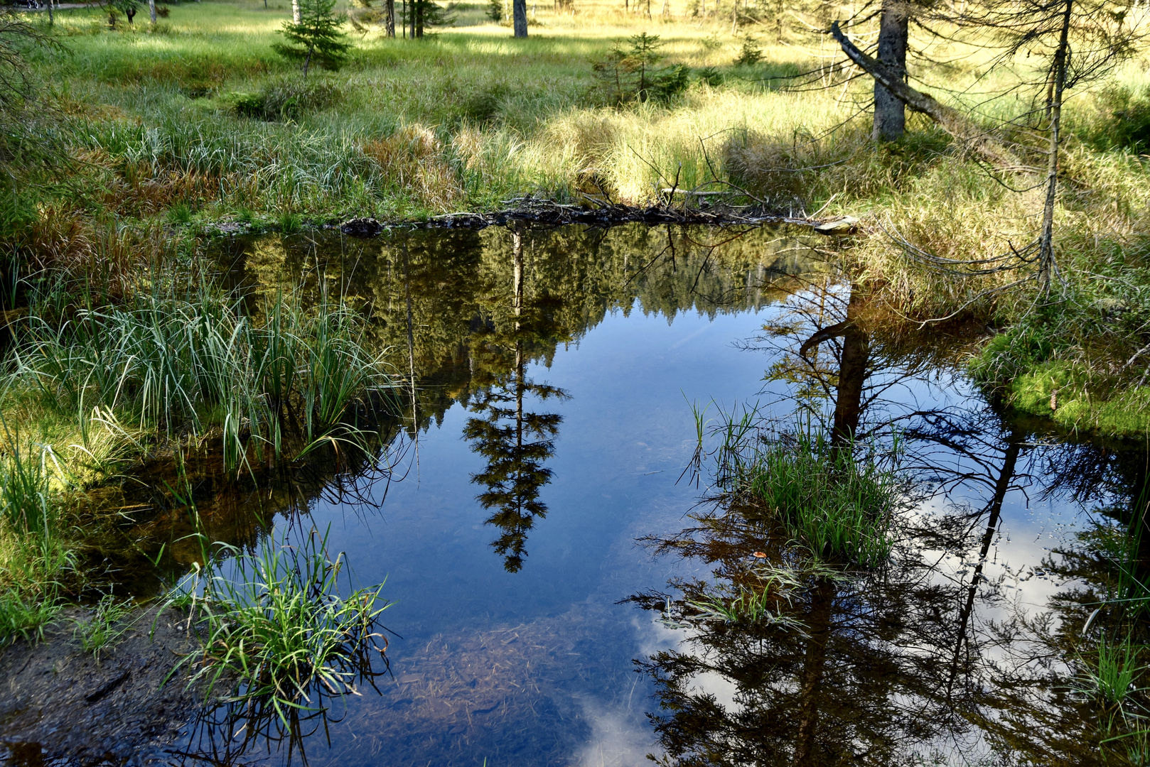 Großer Arbersee 