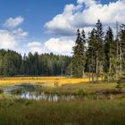 Großer Arbersee