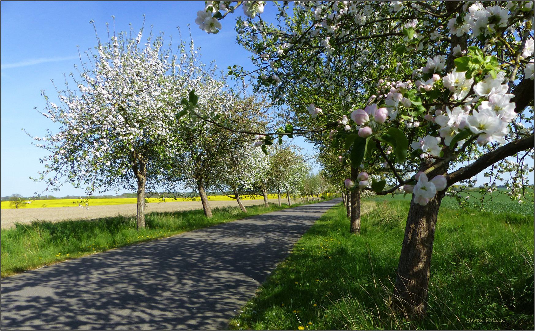 Großer Auftritt zum Finale