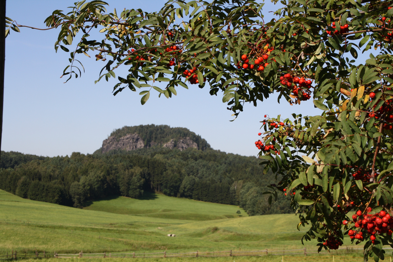 großer Bärenstein Sächsische Schweiz