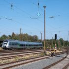 Großer Bahnhof für kleinen Hamster