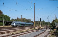 Großer Bahnhof für kleinen Hamster