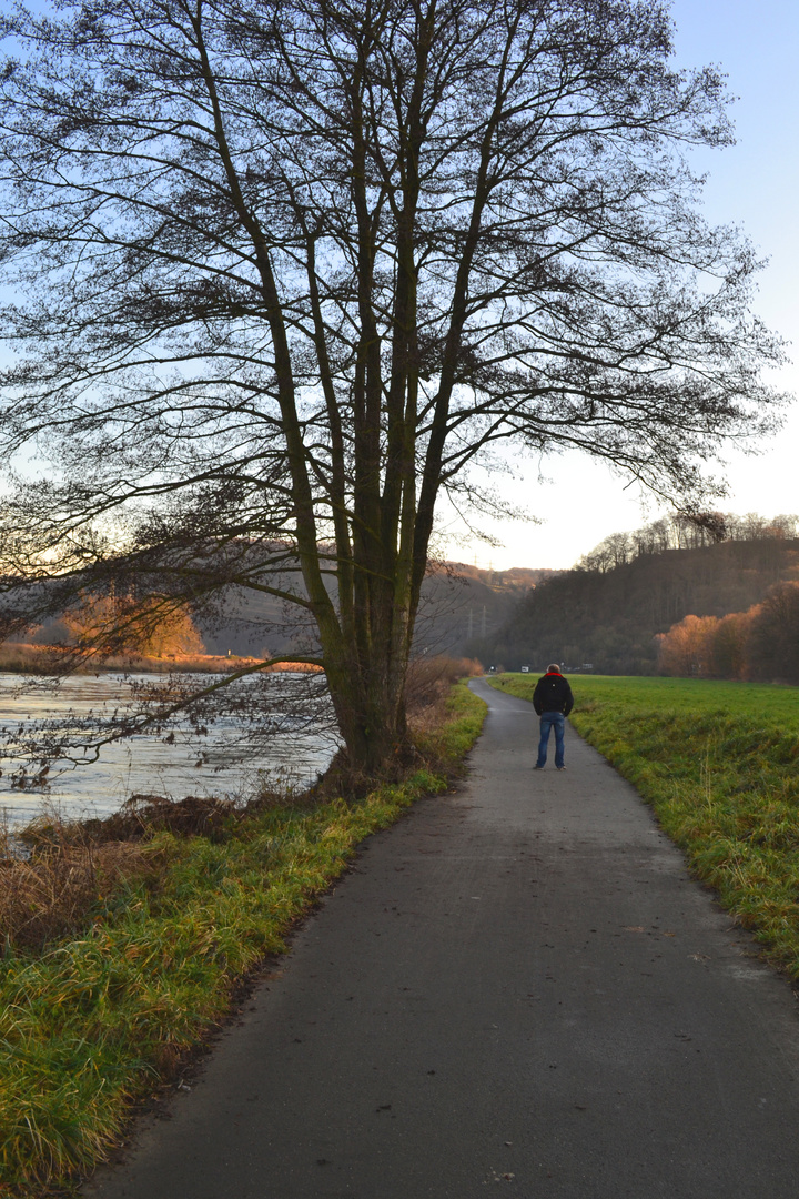 Großer Baum - Kleiner Mann