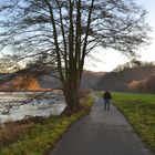 Großer Baum - Kleiner Mann