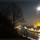 Großer Baum über kleiner Stadt