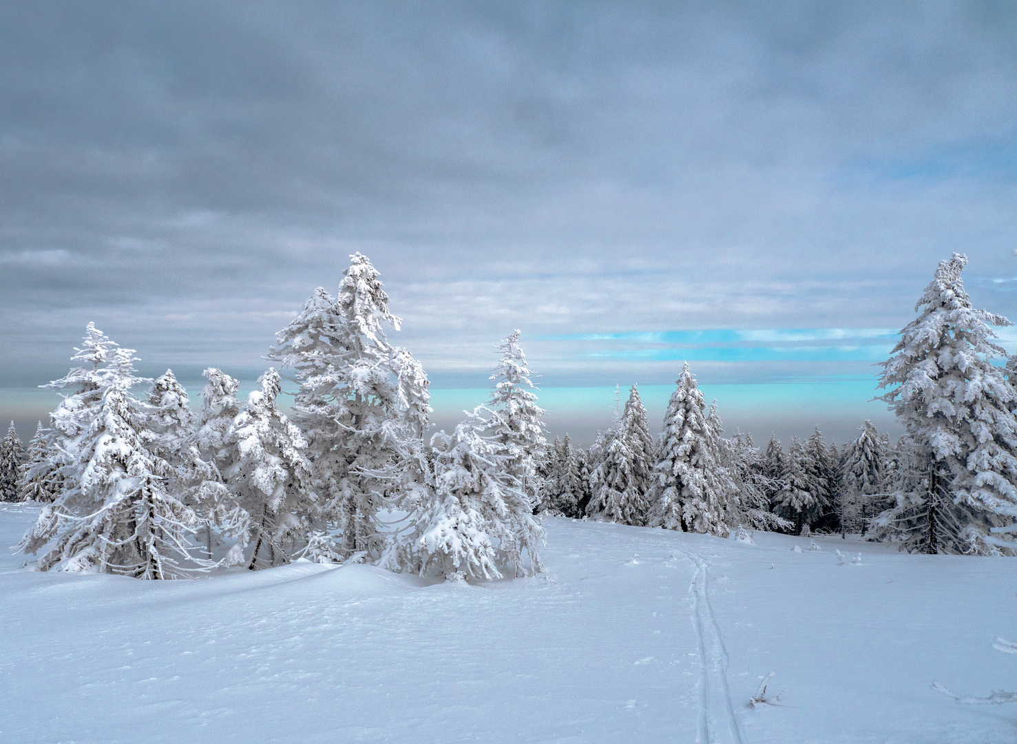Großer Beerberg 1 Foto & Bild landschaften, winter, natur Bilder auf