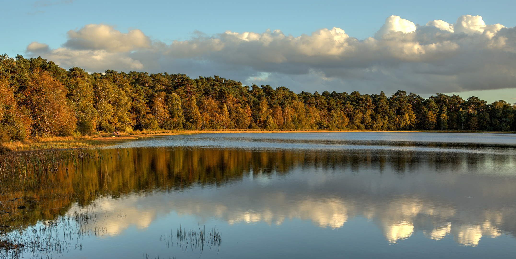 Großer Bullensee Spiegelbild 003