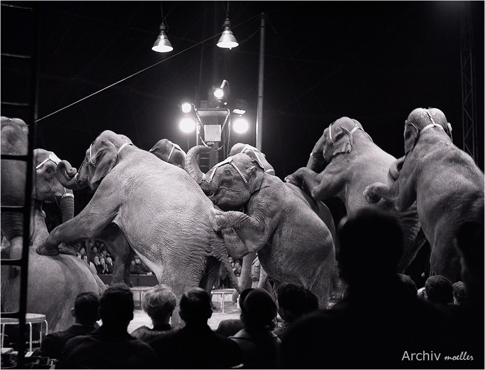 Großer Circus vergangener Jahre