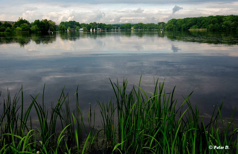 Großer Dutzendteich Nürnberg