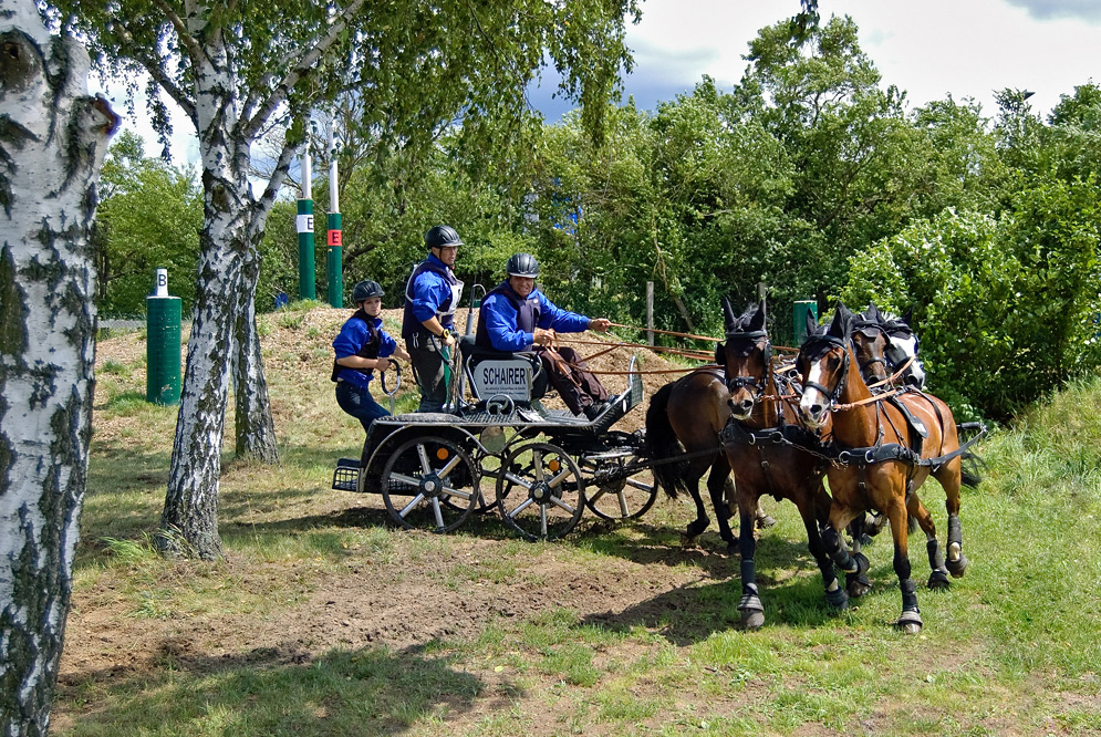 Großer Fahrsport